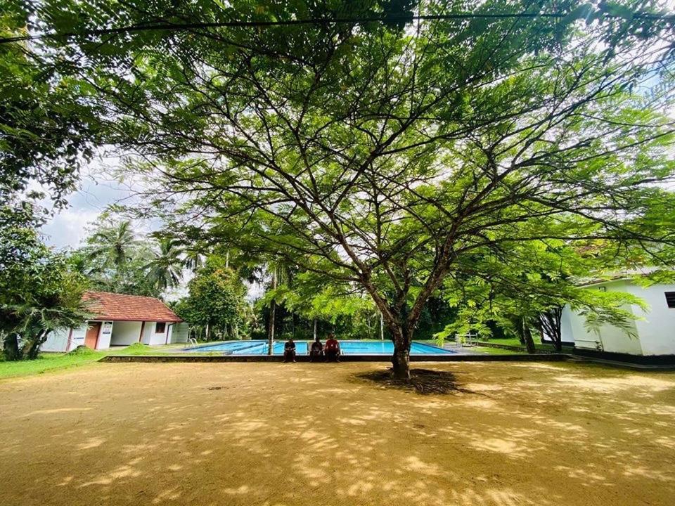 Randiyaepiliyagoda Resort 아비사웰라 외부 사진