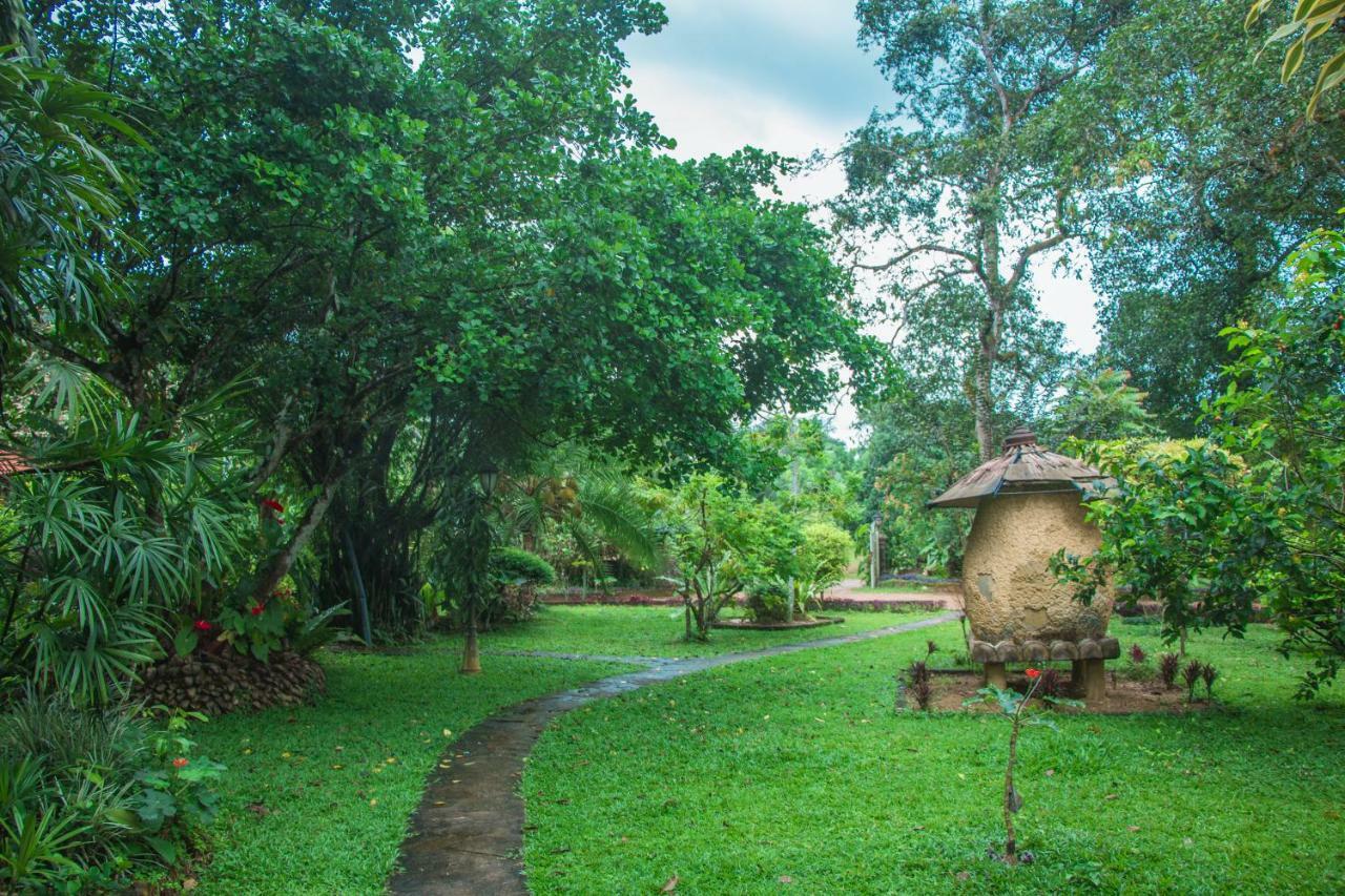 Randiyaepiliyagoda Resort 아비사웰라 외부 사진